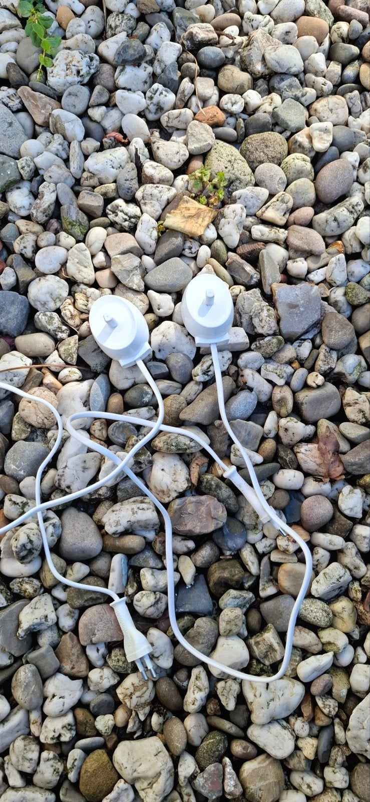 Tandenborstel opladers, Ophalen