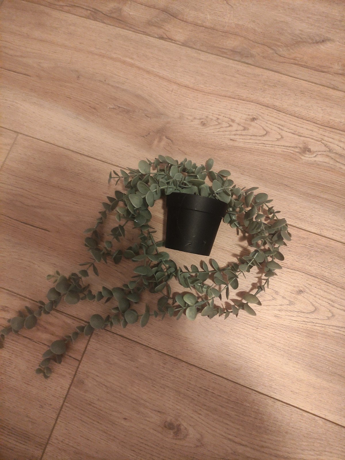Kunstplant Eucalyptus Hangplant - Groen, Binnen, Groen, Onderhoudsvrij, Kunstplant