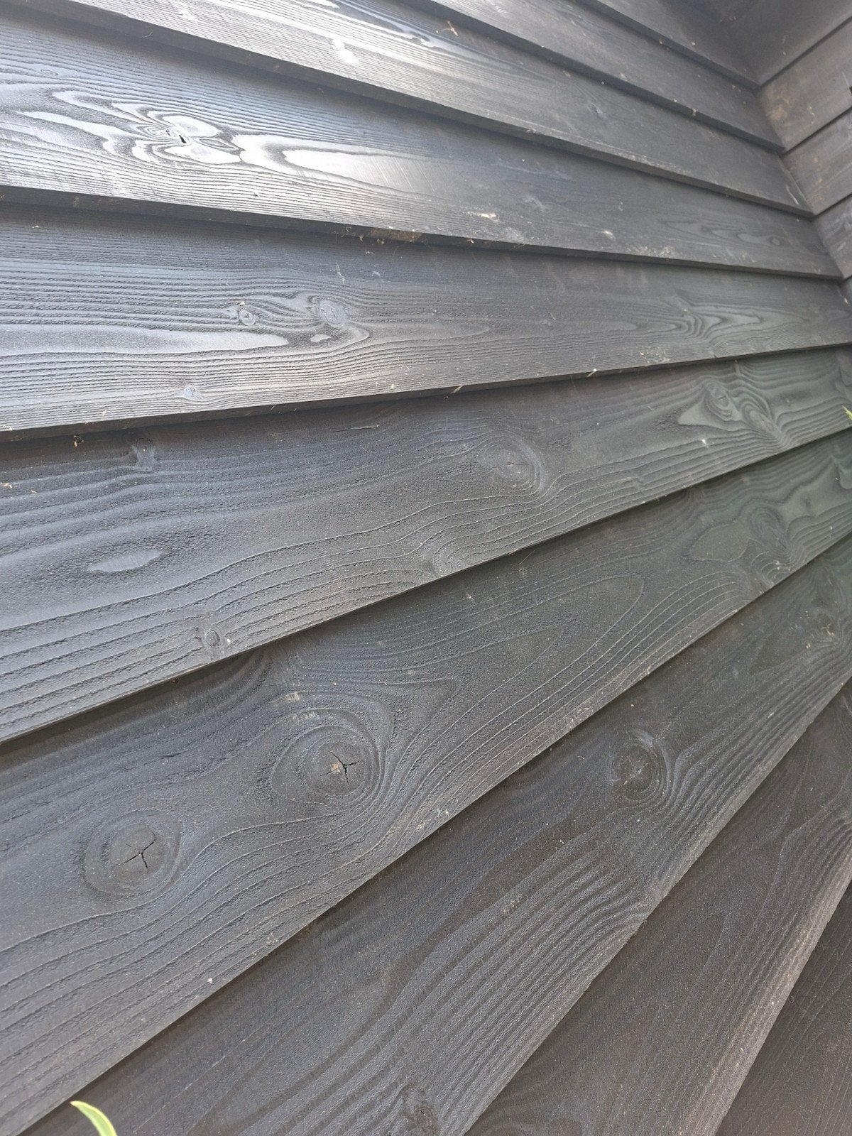 Douglas Zweeds rabat zwart planken, Doe-het-zelf en Verbouw, Hout en Planken, Ophalen, 25 tot 50 mm, Nieuw, Plank