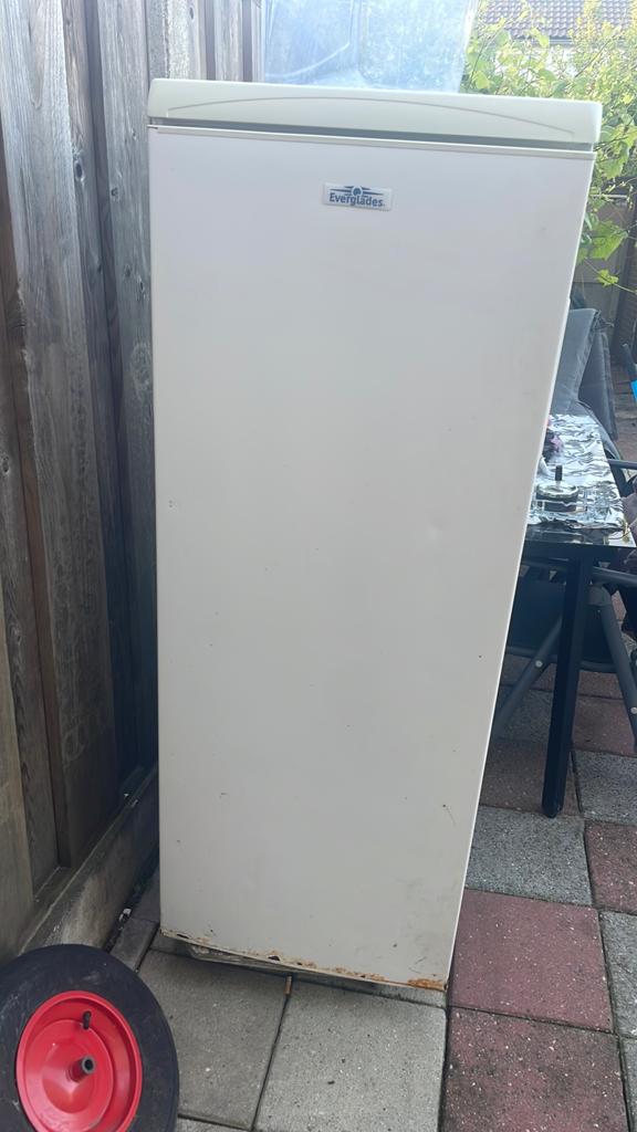 evergladed koelkast, Ophalen of Verzenden, Zo goed als nieuw, Minder dan 60 cm, 160 cm of meer