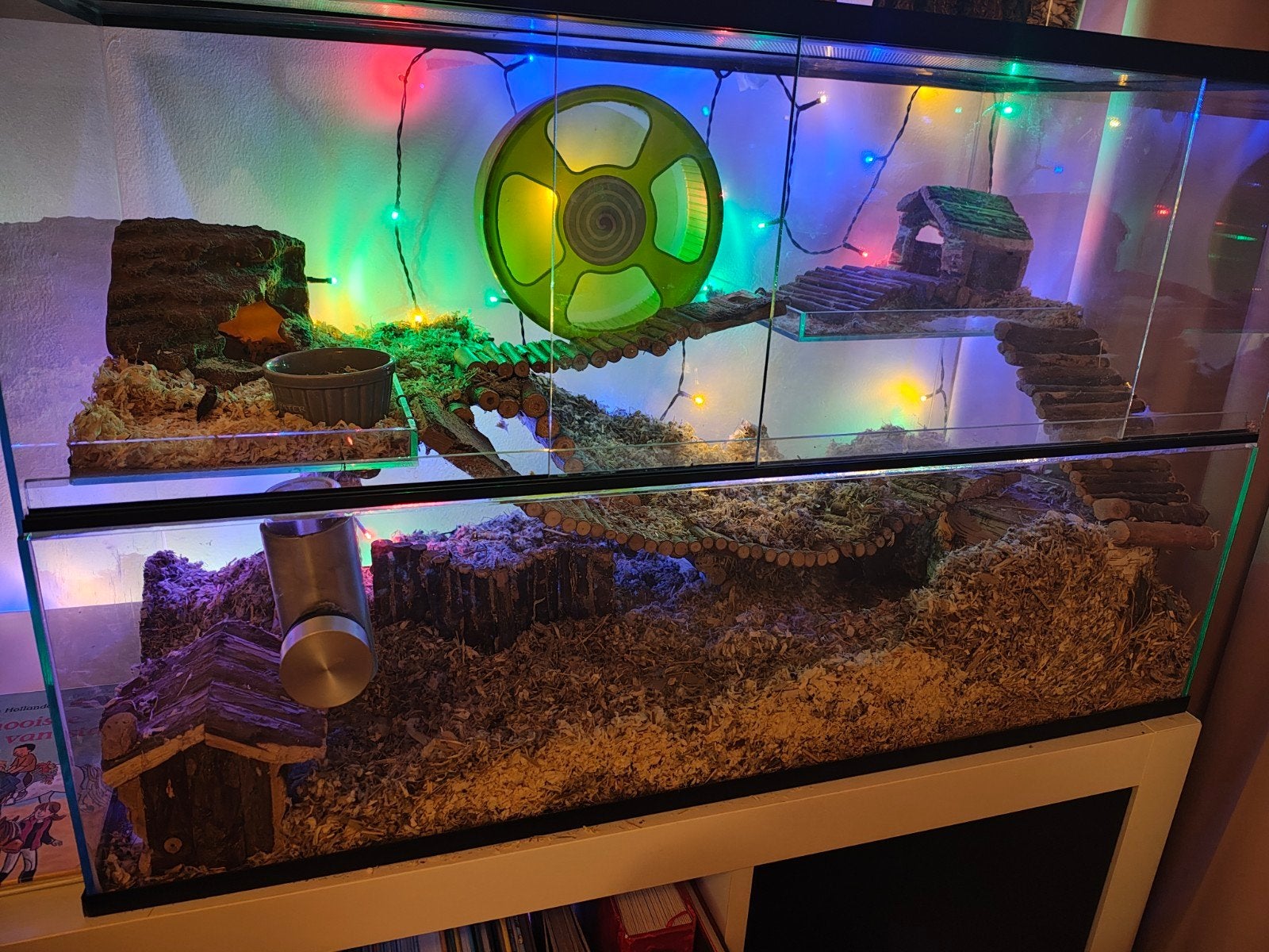 Gerbilarium / Hamster kooi compleet met eten en inrichting, Gebruikt, Overige typen, Hamster, 75 tot 110 cm