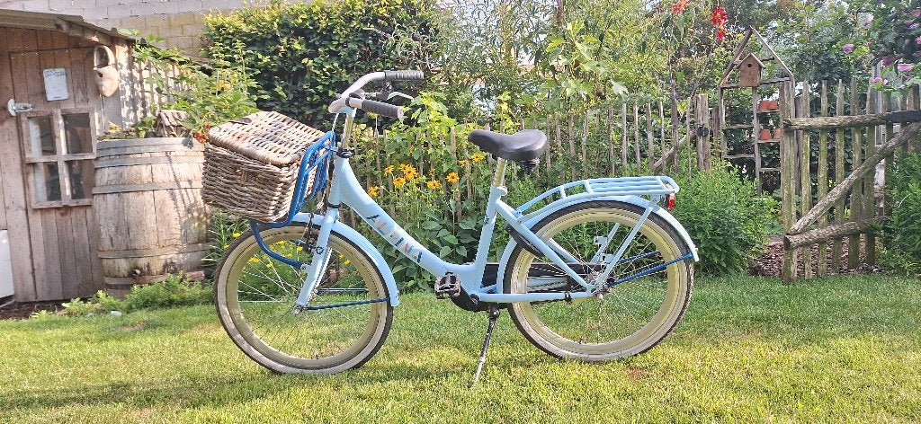 Meisjesfiets 24 inch, Fietsen en Brommers, Ophalen, Gebruikt, 24 inch, Alpina
