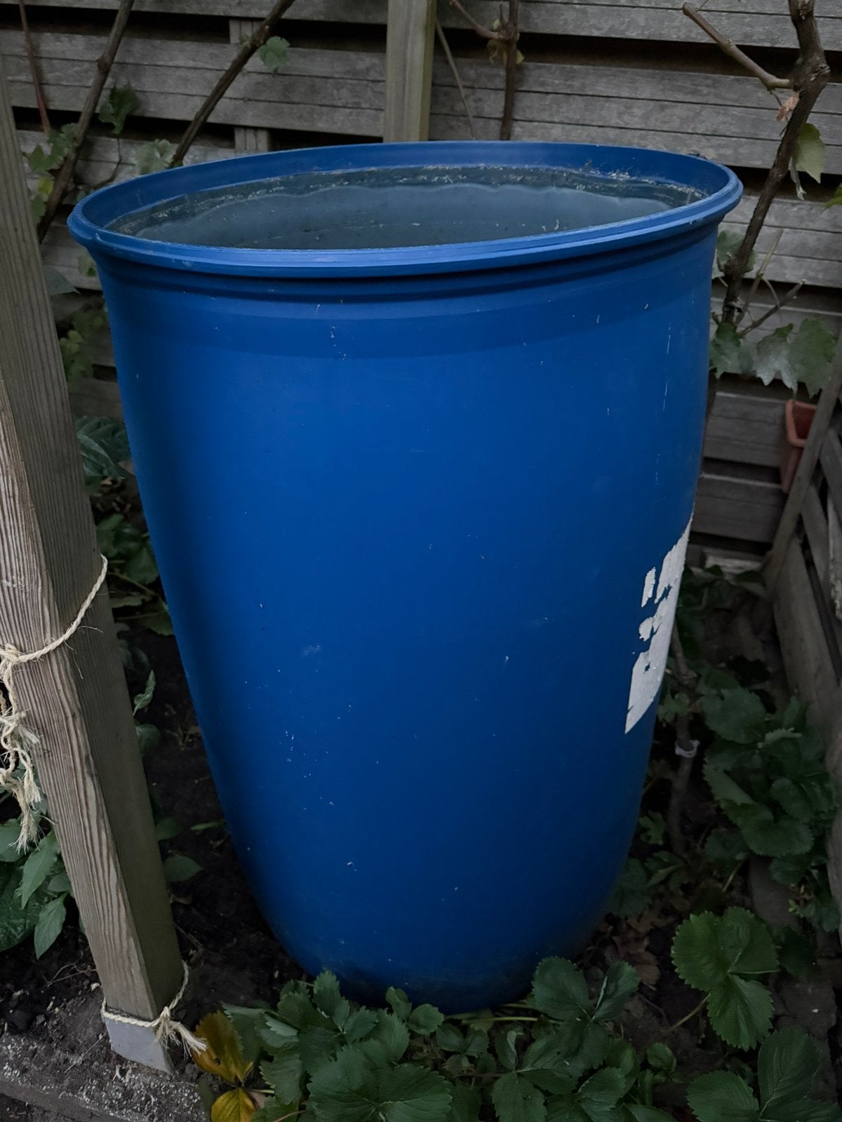 Regenton, 150 liter of meer, Ophalen, Gebruikt
