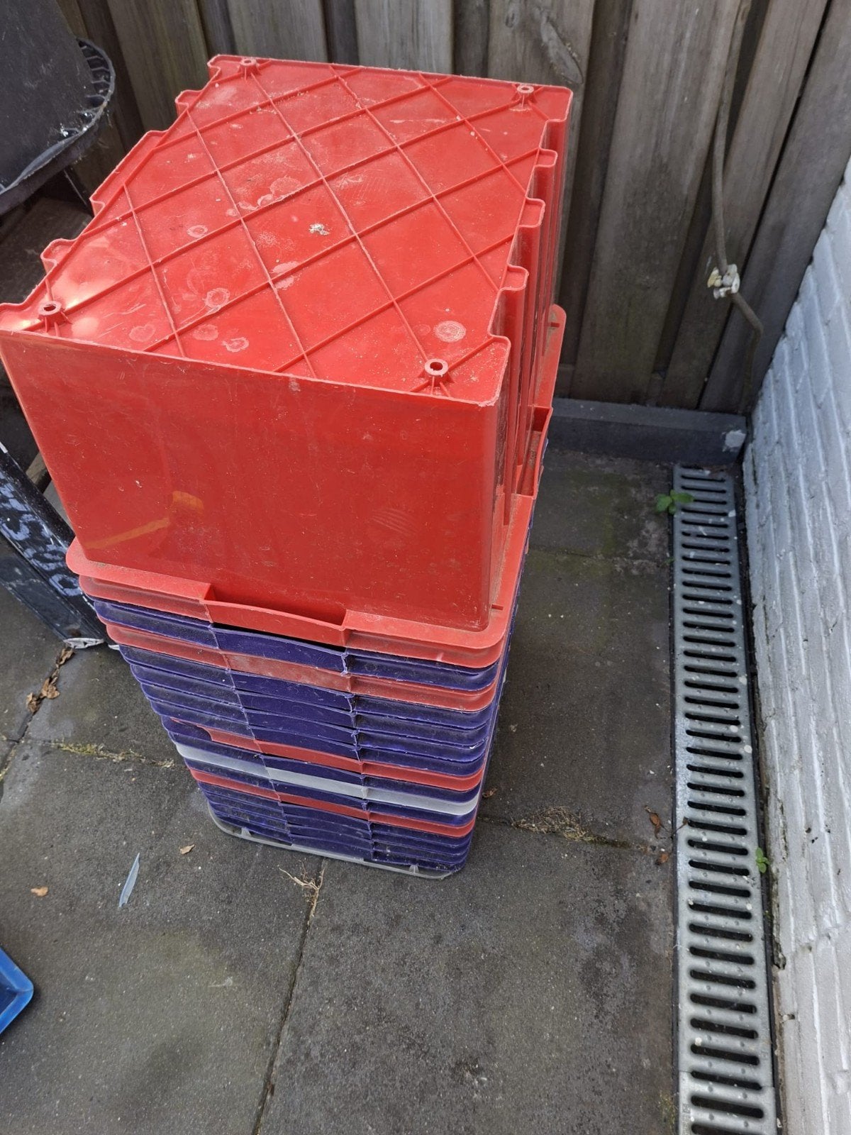 Plastic bakken, Gebruikt, Minder dan 50 cm, Ophalen of Verzenden, Minder dan 40 cm