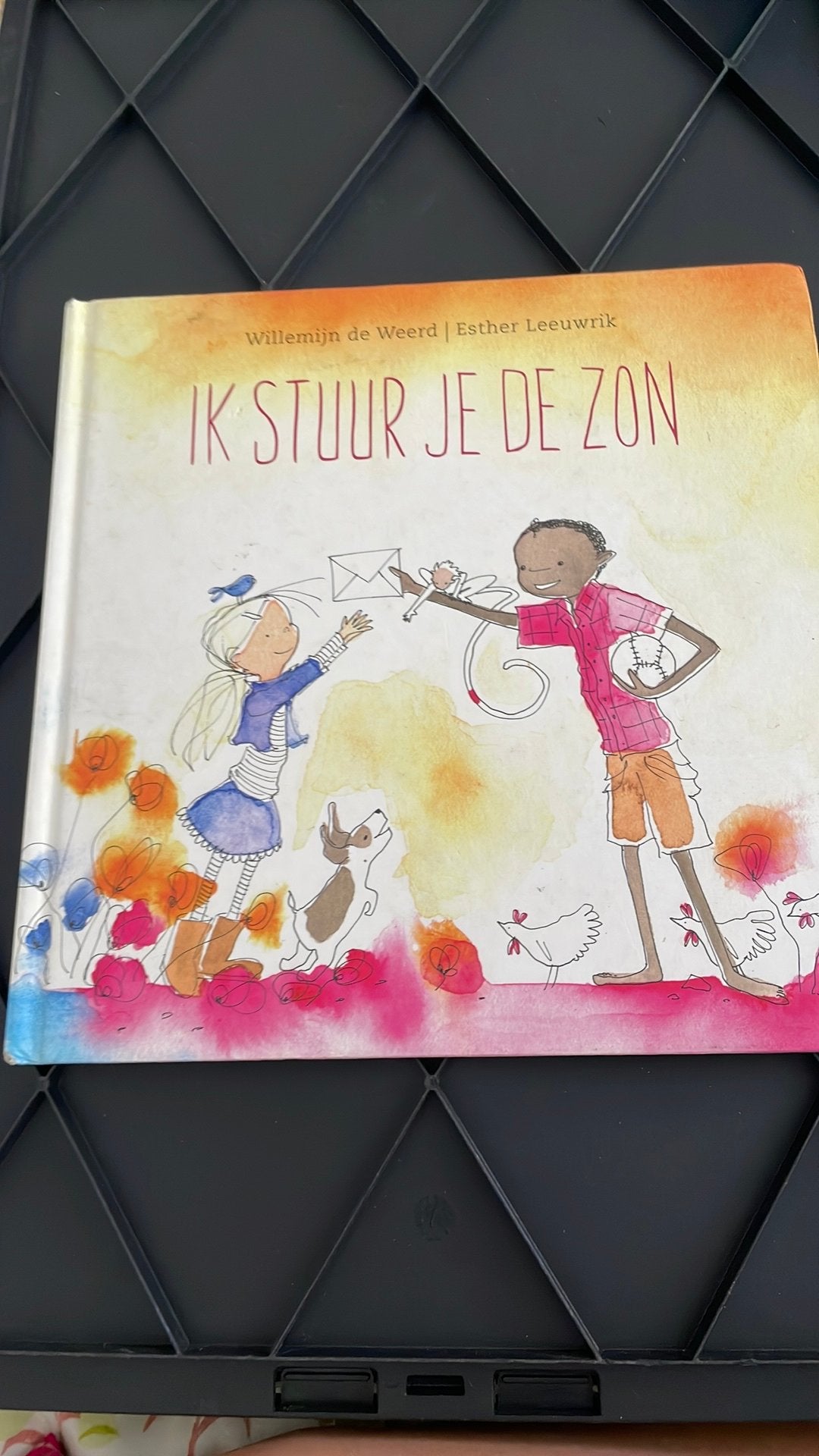 Willemijn de Weerd - Ik stuur je de zon, Verzenden, Zo goed als nieuw, Willemijn de Weerd
