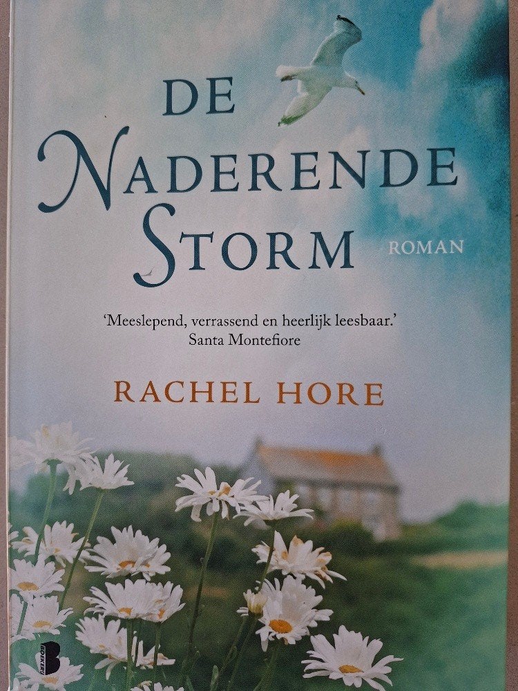 dubbel dikke roman, Ophalen of Verzenden, Zo goed als nieuw
