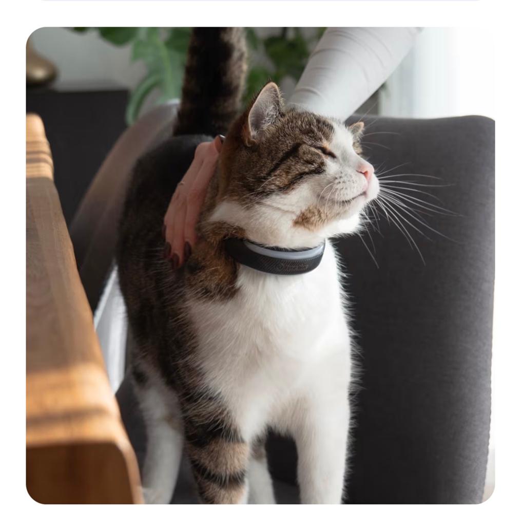 Cat 6 mini Tractive GPS halsband kortingscode -40%, Dieren en Toebehoren, Ophalen, GPS, Nieuw