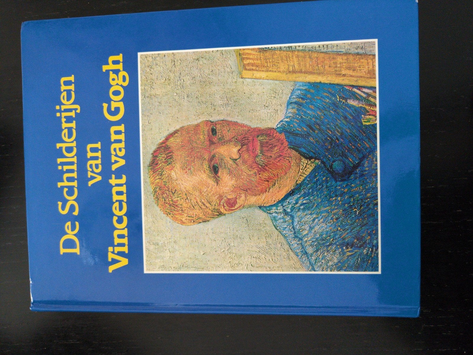 De Schilderijen van Vincent van Gogh - Boek, Ophalen of Verzenden