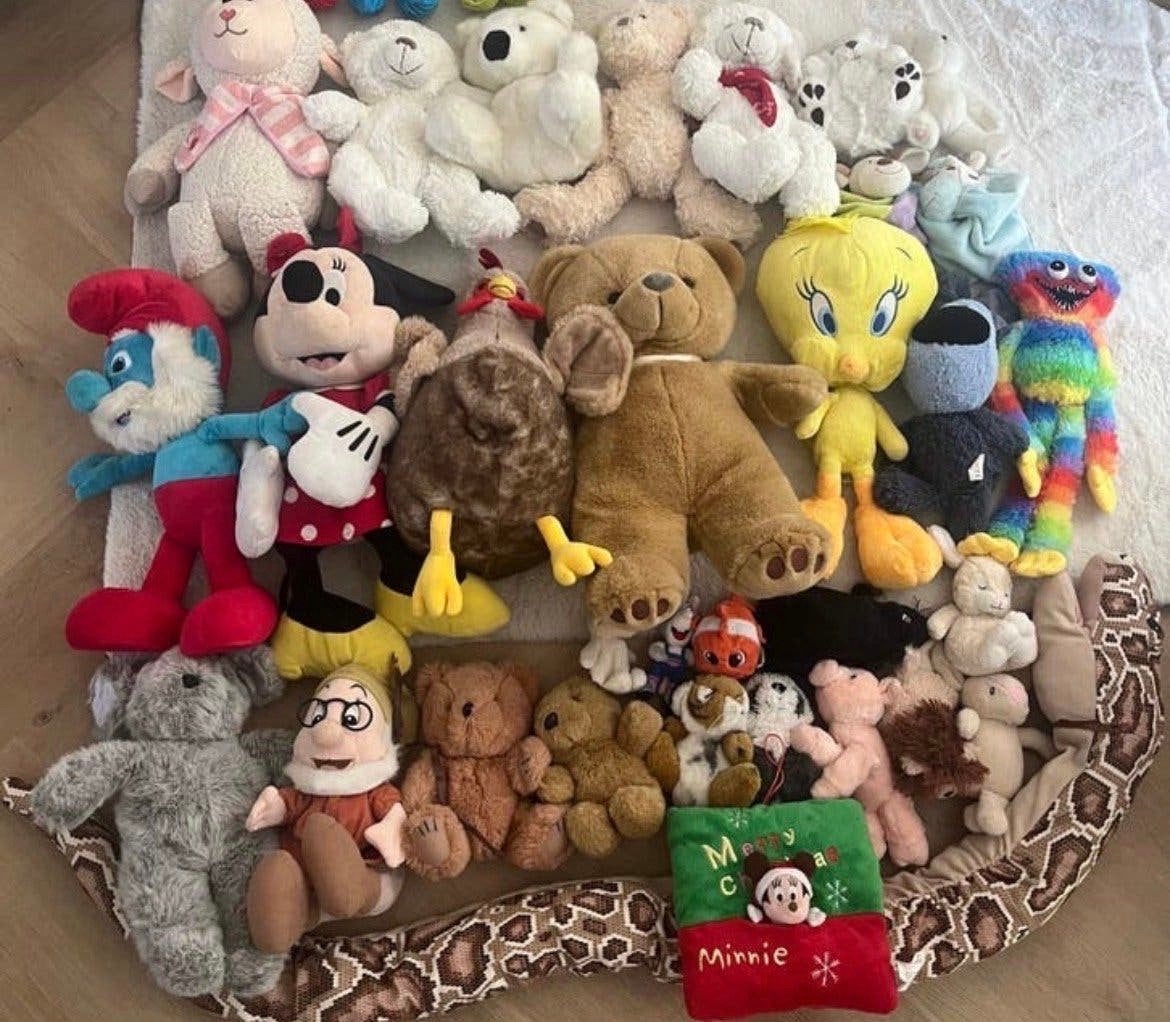 Grote en kleine knuffels, diverse soorten, Ophalen, Gebruikt, Disney, Beer
