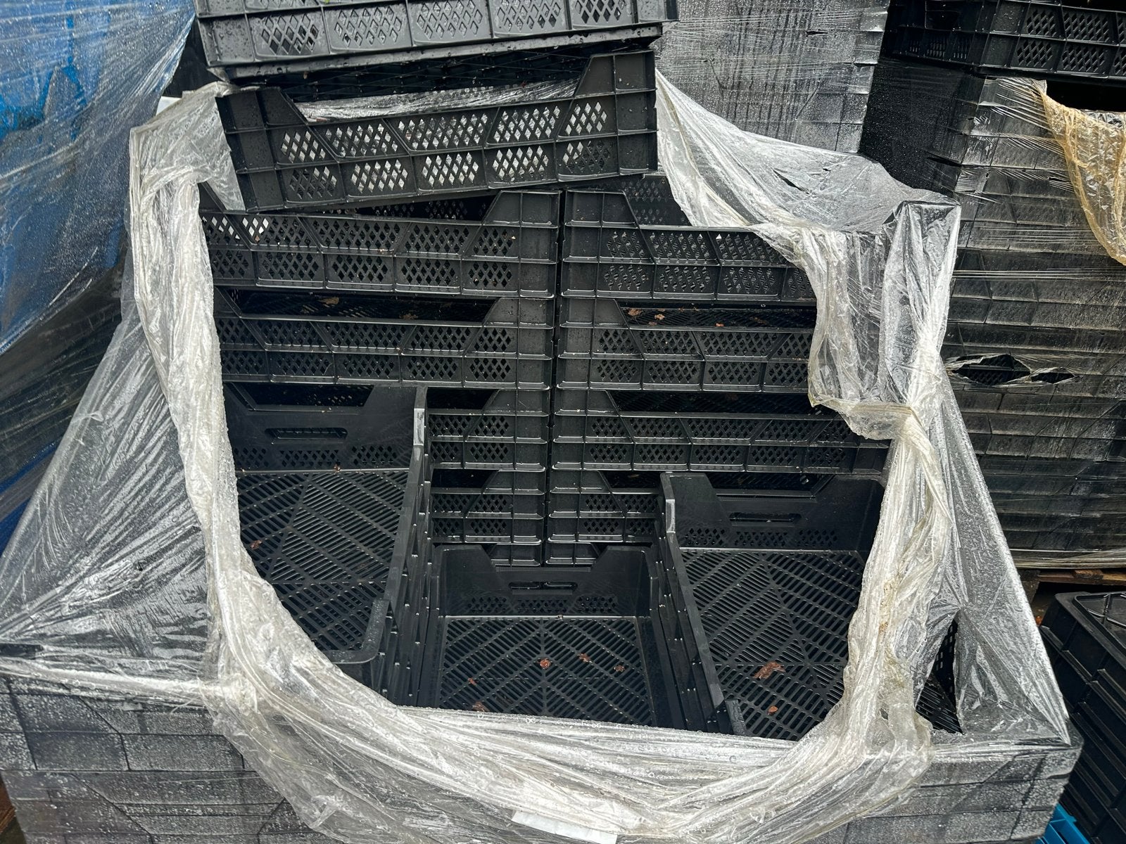 Nieuwe LVM kratten 60x40x15 cm - Per stuk of bulk, Ophalen, 40 tot 60 cm, 50 tot 75 cm, Krat