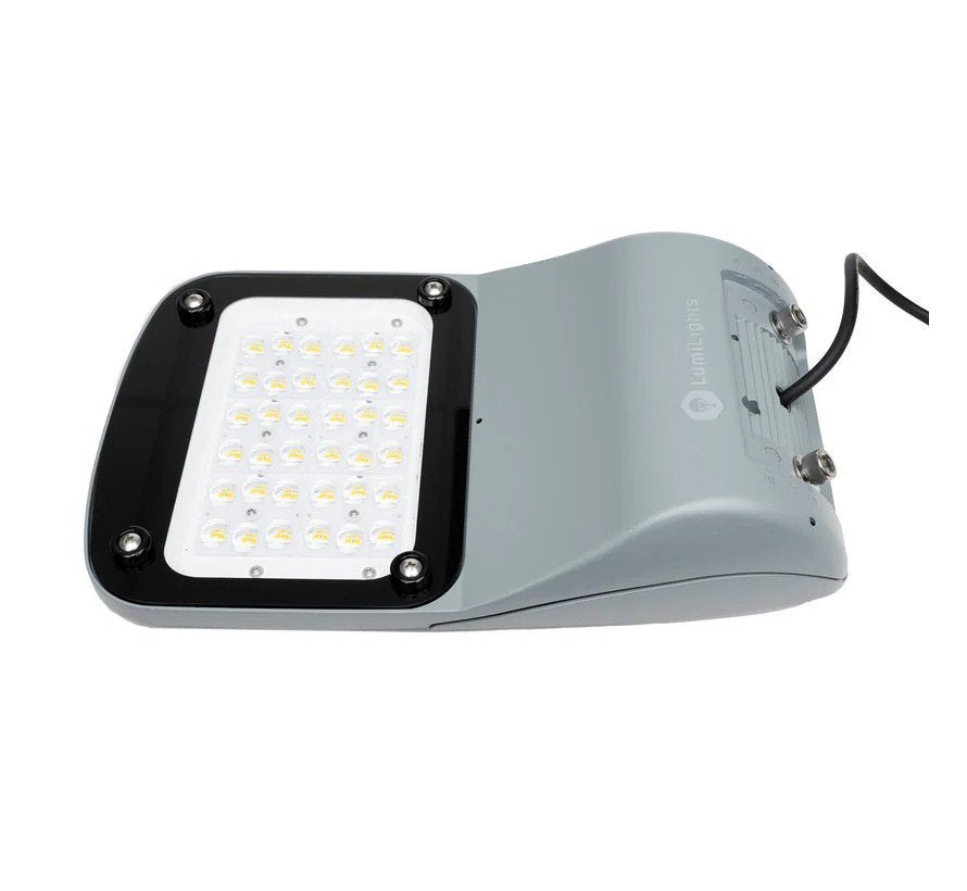 LED Straatlamp 50W - 160LM/W - ERP 2.0 - 6000K