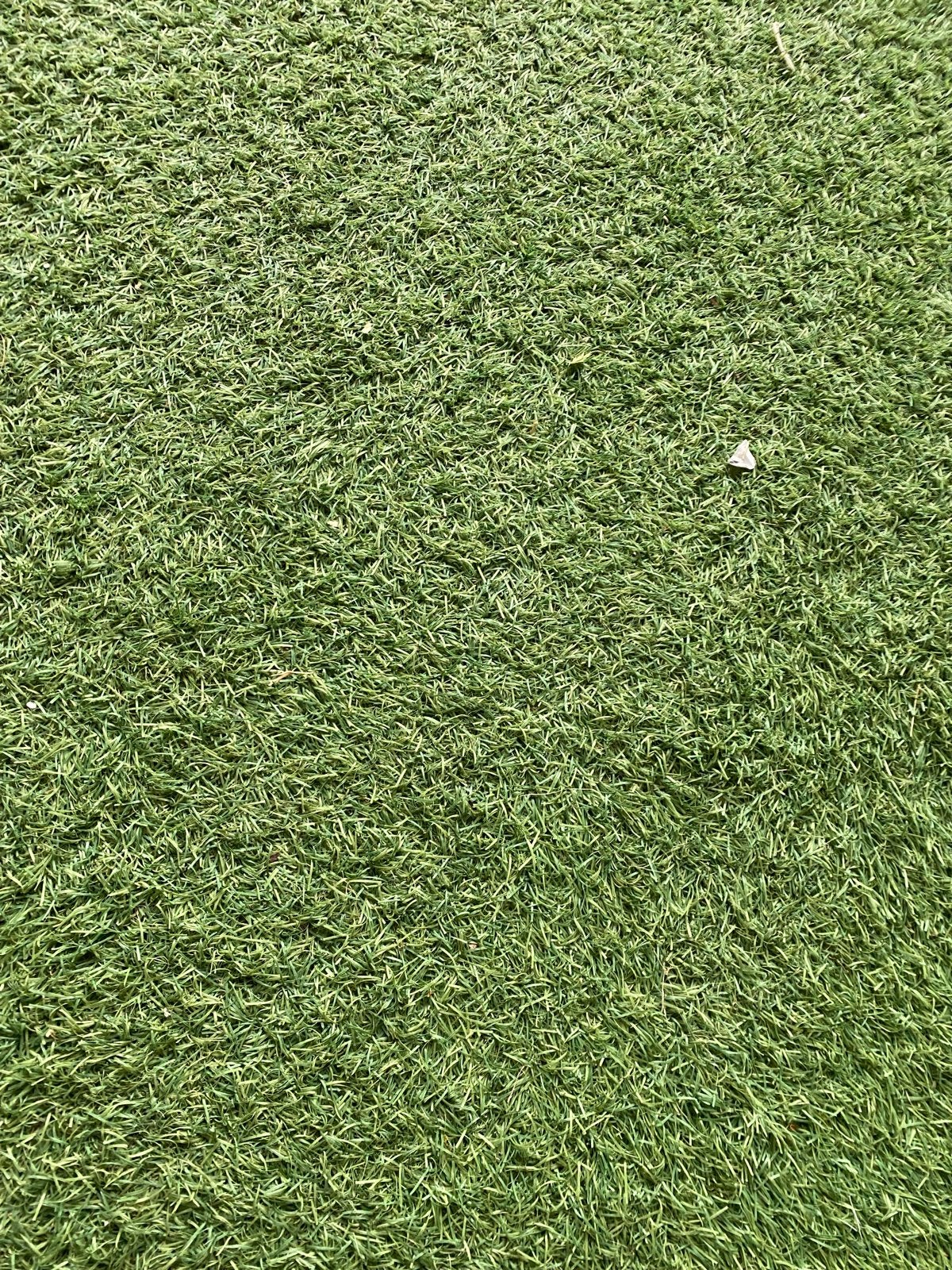 Kunstgras mat 4,5 x 3 meter - Ophalen in Nijmegen-West, Ophalen, Gebruikt, 10 tot 20 m², Kunstgras