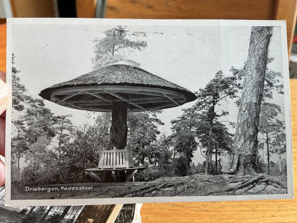 Driebergen paddestoel, Verzenden, 1980 tot heden, Gelopen, Utrecht