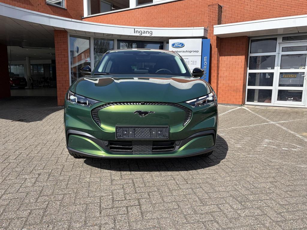 Ford Mustang Mach E Standard Range RWD 73 kWh | LFP accu | E, Auto's, Automaat, Achterwielaandrijving, 268 pk, 470 km