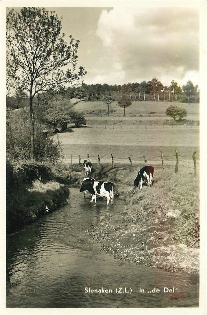702-074-049 Slenaken, Verzenden, Voor 1920, Limburg