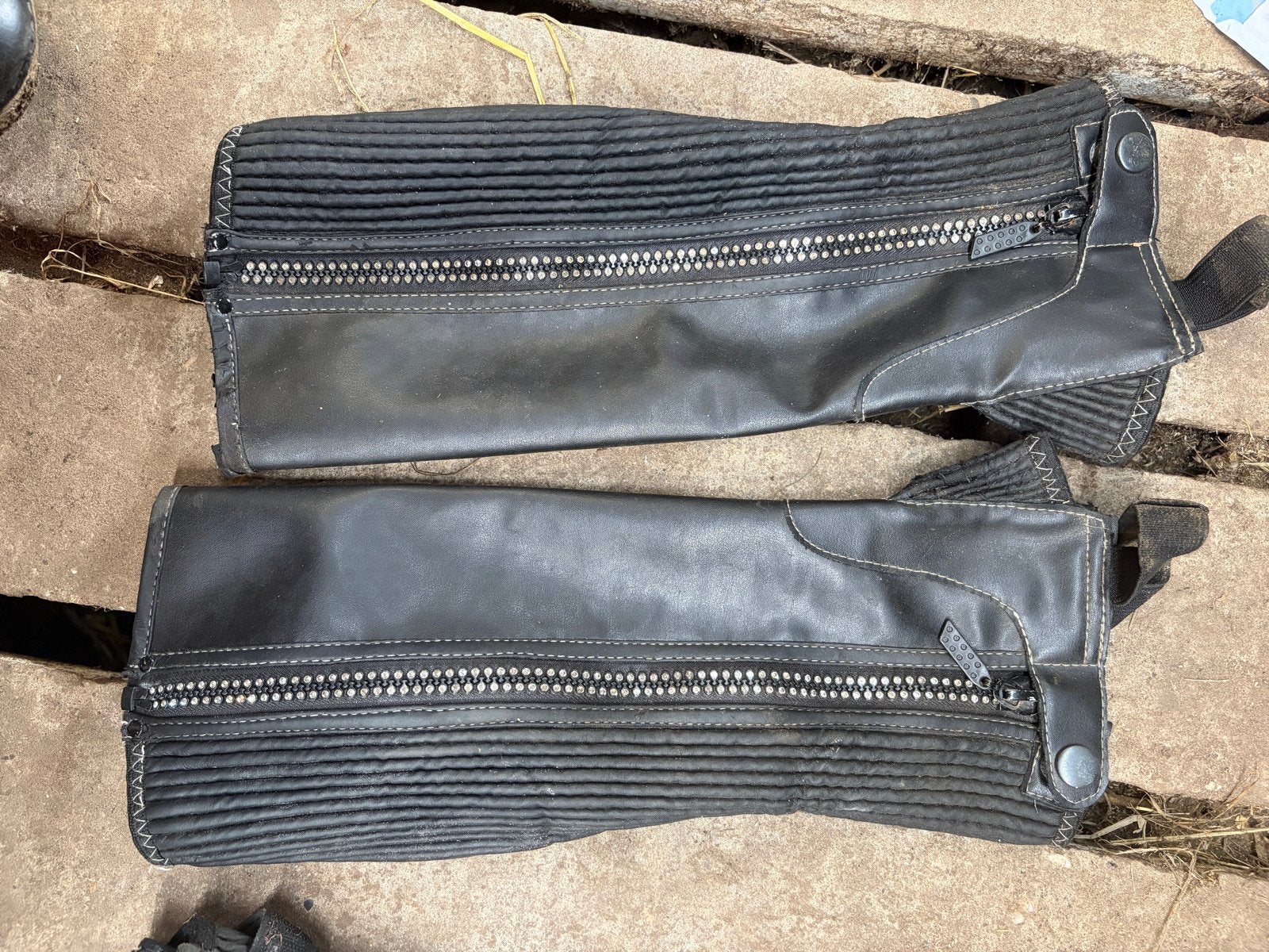 CHAPS glitter rits S, Dieren en Toebehoren, Ophalen of Verzenden