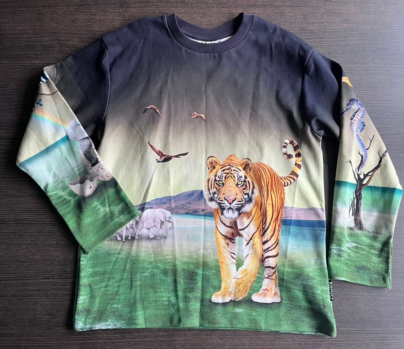 Molo sweater maat 152, Kinderen en Baby's, Ophalen of Verzenden, Zo goed als nieuw, Jongen, Trui of Vest