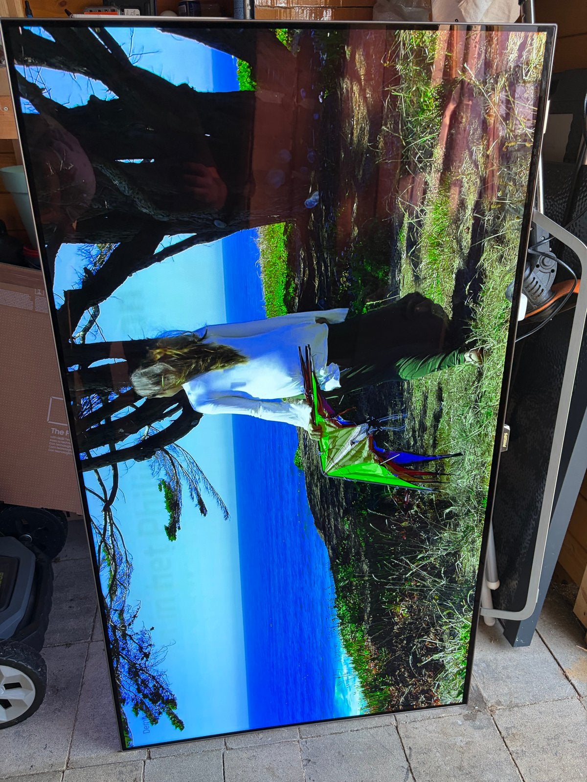Philips OLED 55 inch TV met inbranding (2017)
