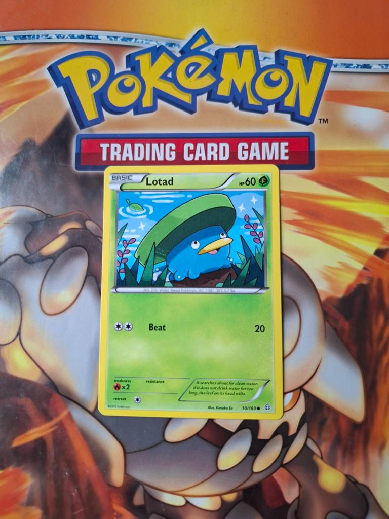 Lotad 10/160 XY Primal Clash pokemon kaart, Ophalen of Verzenden, Gebruikt, Losse kaart