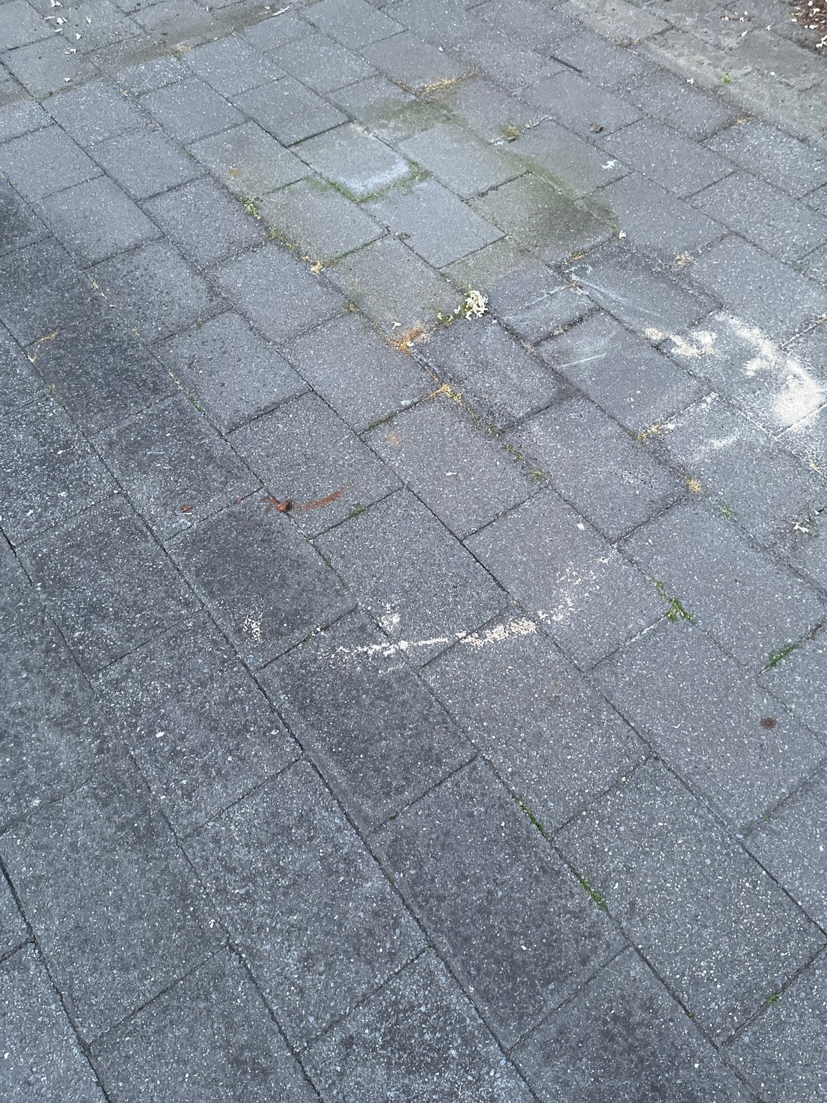 Gebruikte stoeptegels snel ophalen, Ophalen, Gebruikt