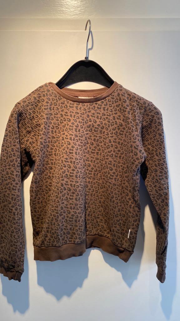 Mooie Trui, Kinderen en Baby's, Kinderkleding | Maat 140, Ophalen of Verzenden, Gebruikt, Jongen of Meisje, Trui of Vest