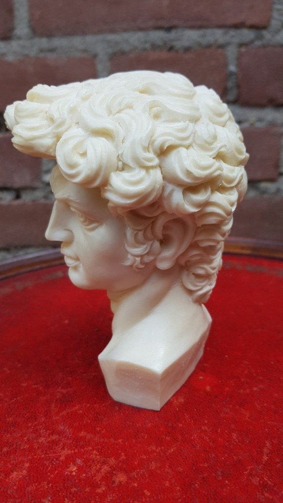 Vintage buste van david (michelangelo), Ophalen of Verzenden, Wit