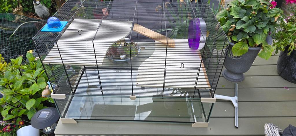Te koop hamsterkooi, Dieren en Toebehoren, Minder dan 60 cm, Kooi, Minder dan 75 cm, Ophalen of Verzenden