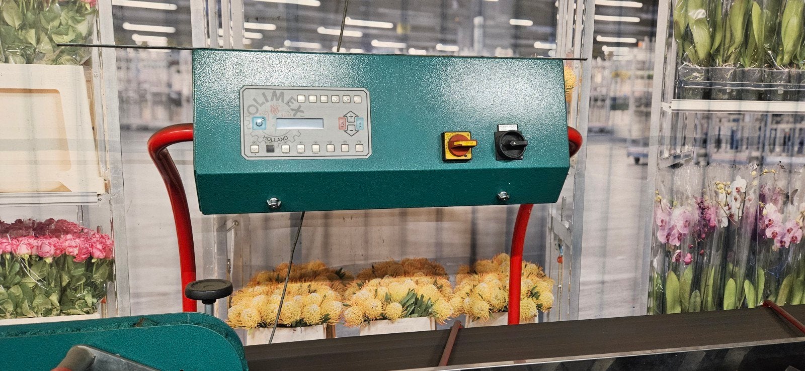 FloraFlex sorteer- en verpakkingslijn 2 binders  em water vu, Ophalen
