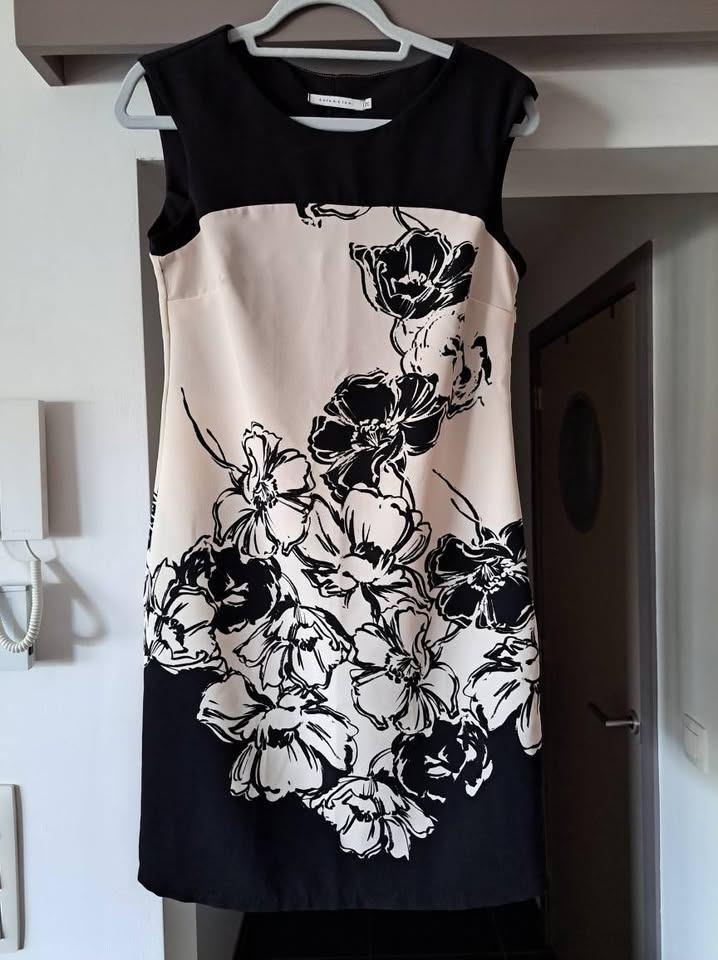 Yest, Bershka, Esqualo, Fransa, Zara, Punto, ... mt 36-38, Overige kleuren, Ophalen of Verzenden, Zo goed als nieuw, Maat 36 (S)
