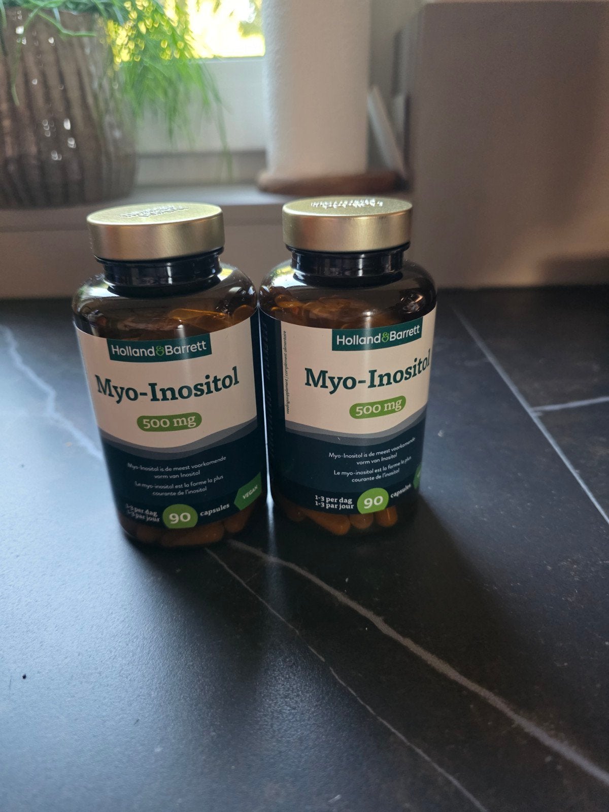 Holland & Barrett Myo-Inositol 500mg - 2x90 capsules, Ophalen of Verzenden, Nieuw, Poeder of Drank