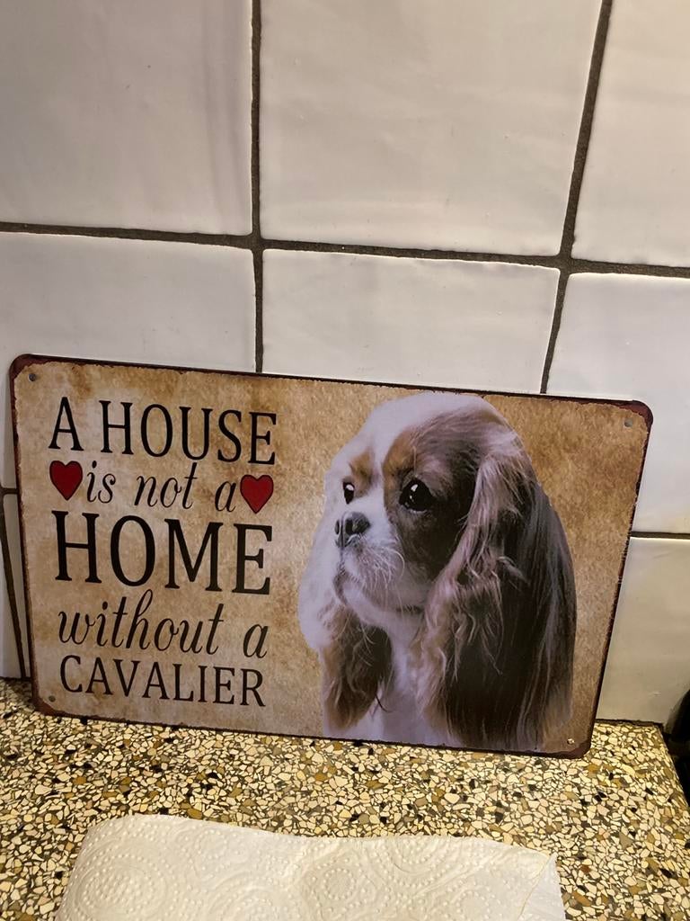 Metalen plaat hond, Ophalen of Verzenden