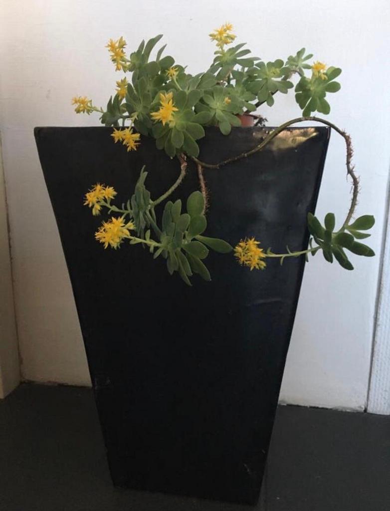 Mooie zwarte cascade terracotta bloempot 41,7x26,2cm, Binnen, Zo goed als nieuw, Terracotta, Rechthoekig