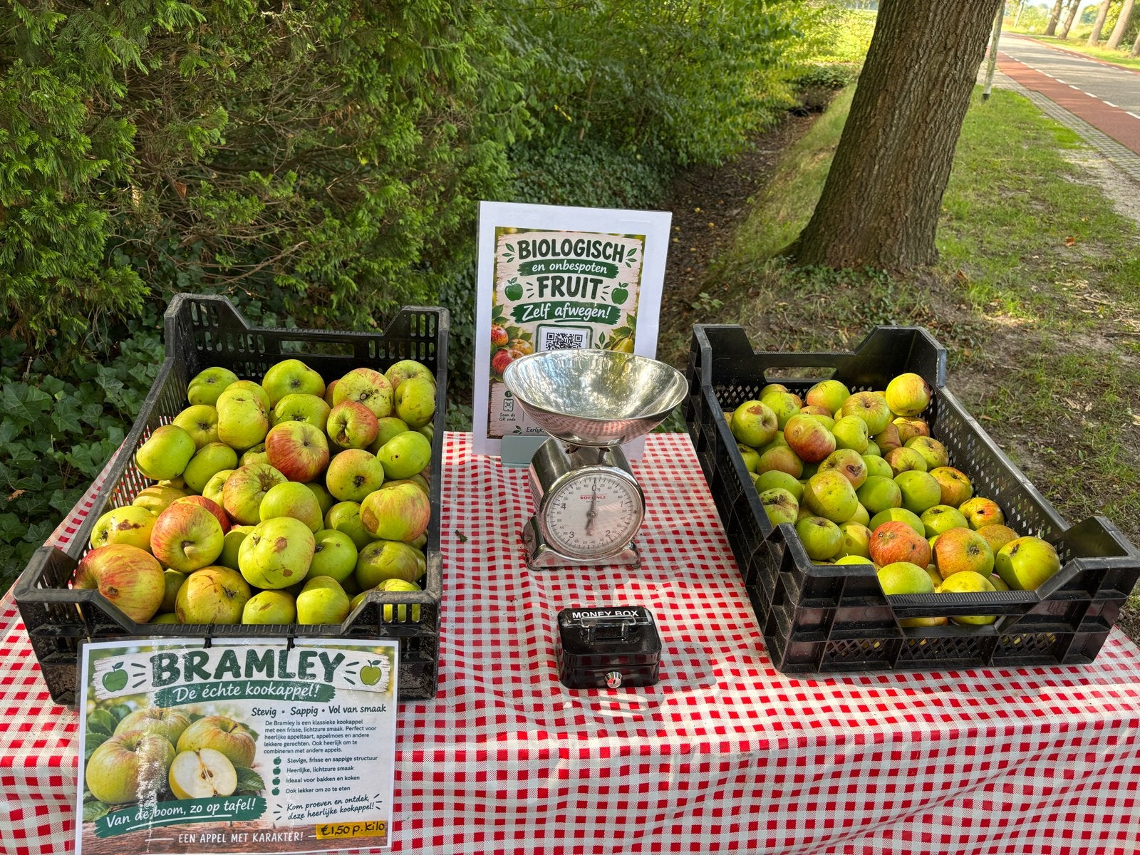 Biologisch en onbespoten fruit te koop, Ophalen of Verzenden
