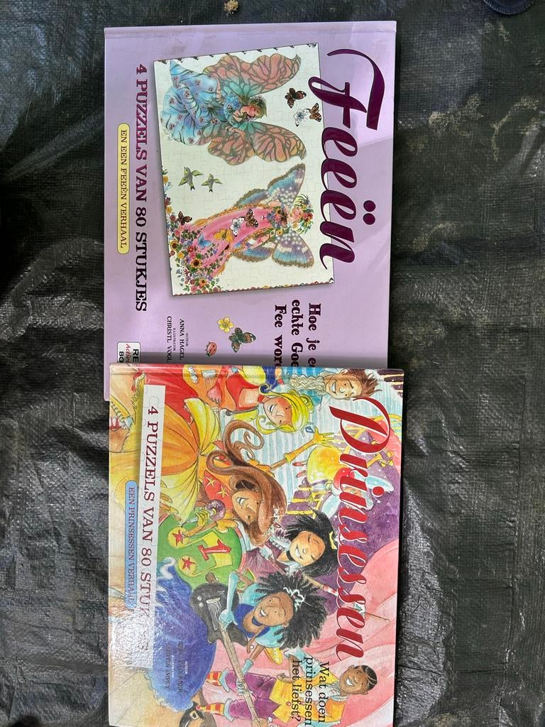 2 Puzzelboeken: Feeën & Prinsessen (elk 4x 80 stukjes), Boeken, Ophalen of Verzenden, Gelezen, Uitklap-, Voel- of Ontdekboek, 3 tot 4 jaar