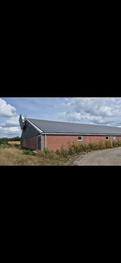 Prefab stal varkens stal schuur, Dieren en Toebehoren