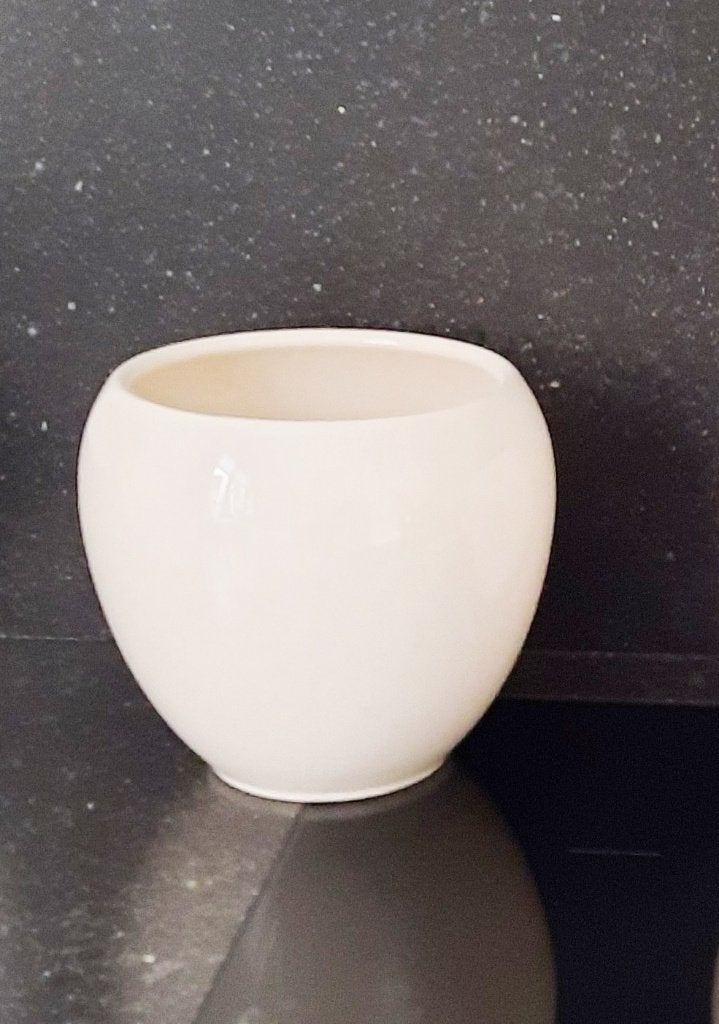 2 WITTE TREVISIO BLOEMPOTTEN STEPPEWIT HS POTTERIE H:15 Ø 17, Tuin en Terras, Bloempotten, Rond, Nieuw, Ophalen of Verzenden, Balkon