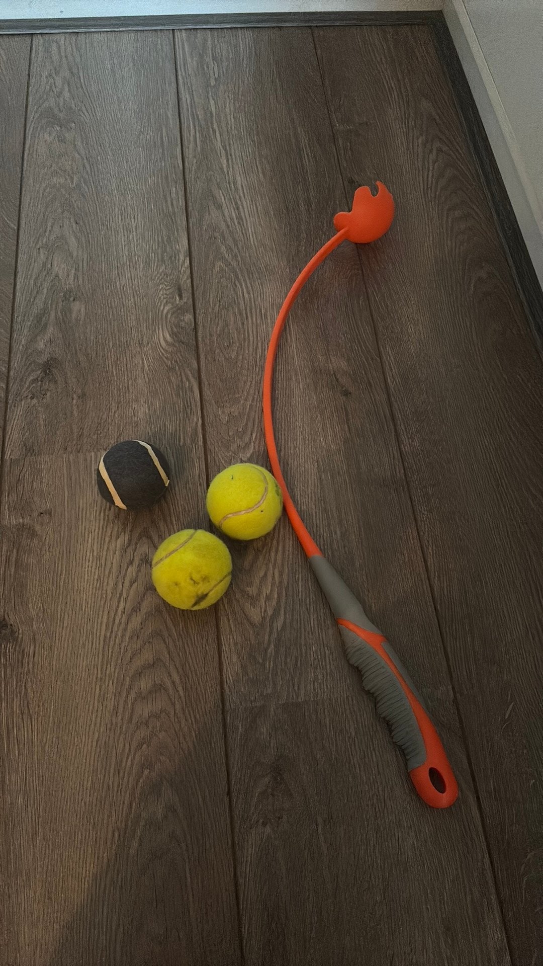 Ballenwerper hond, Ophalen, Zo goed als nieuw