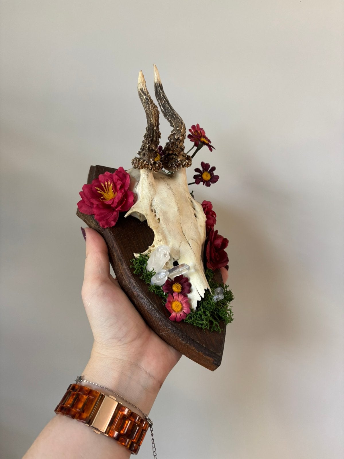 Reebok schedel/gewei - met kunstbloemen en edelstenen, Ophalen of Verzenden, Zo goed als nieuw, Hert, Schedel