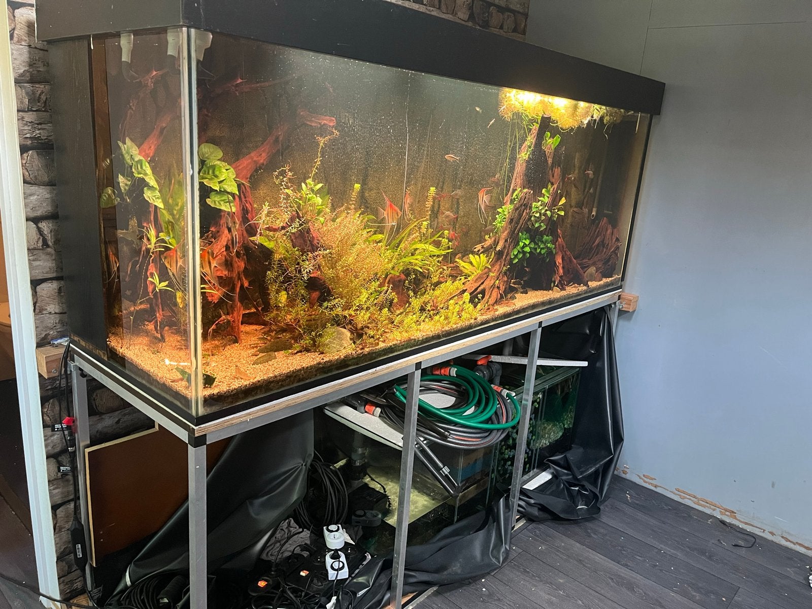 2 meter aquarium inc bioloog, Ophalen, Inclusief deksel, Zo goed als nieuw, Leeg aquarium