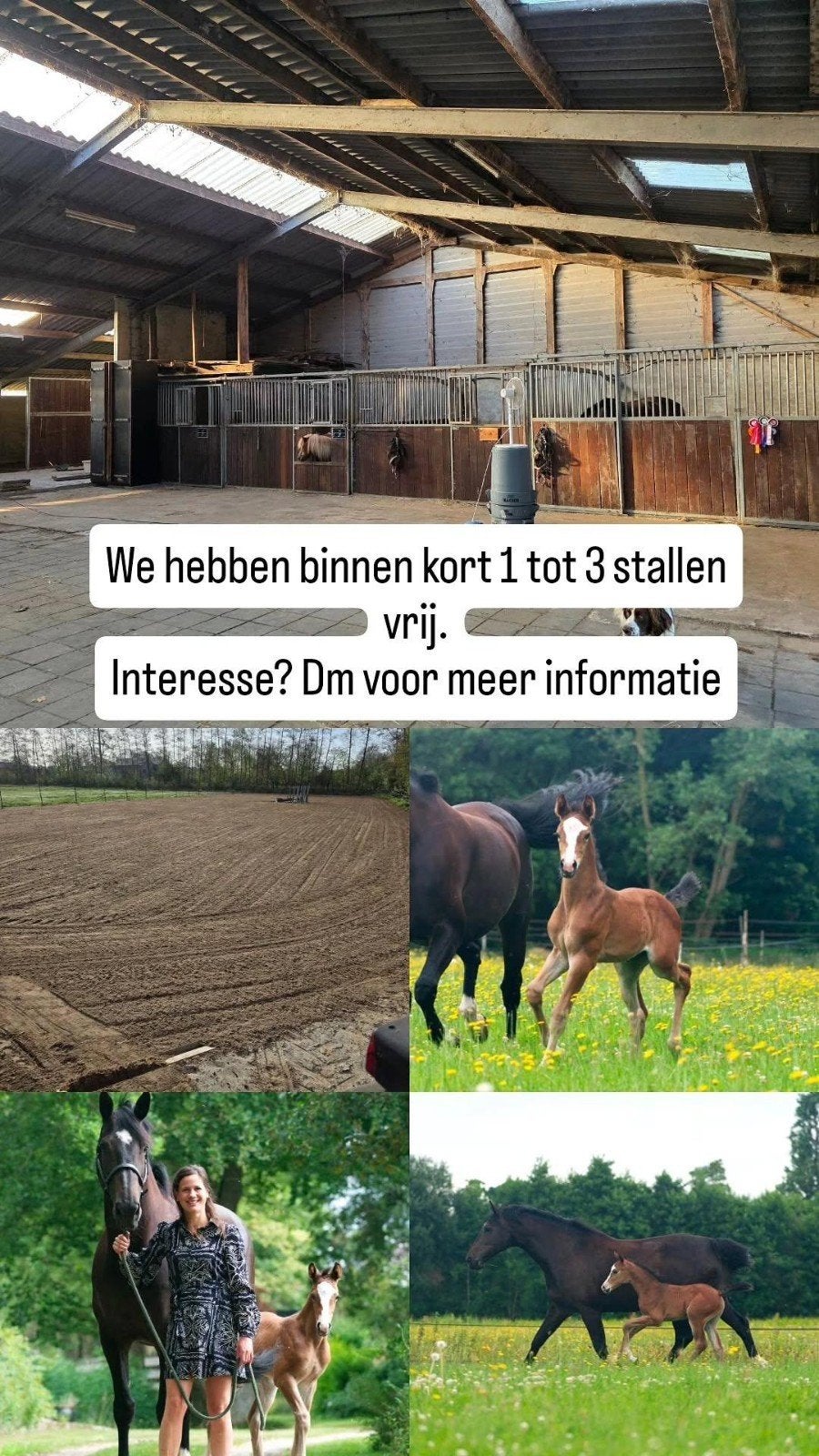 Stalling paard/pony