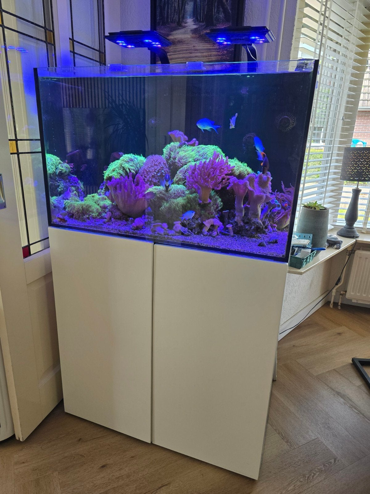 Waterbox 100.3 compleet., Dieren en Toebehoren, Ophalen