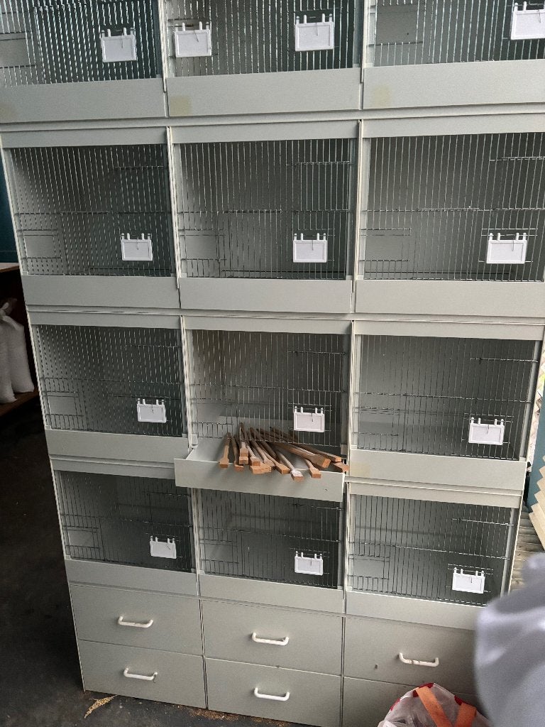 broedkooien, Ophalen, Gebruikt, Kunststof, Broedkooi of Kweekkooi