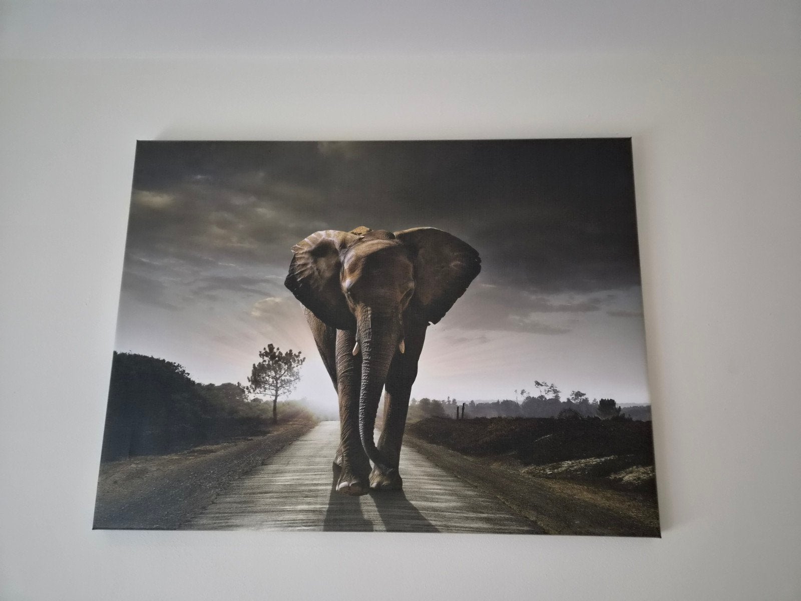 Gratis ophalen! Canvas schilderij olifant op weg, Huis en Inrichting, Woonaccessoires | Schilderijen, Tekeningen en Foto's, Ophalen
