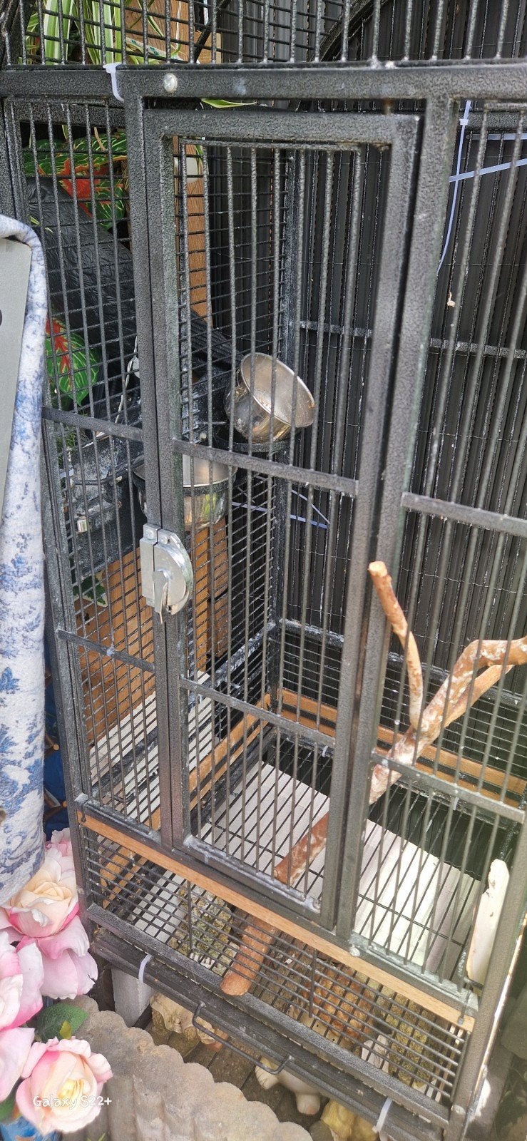 Vogelkooi, Dieren en Toebehoren, Ophalen of Verzenden