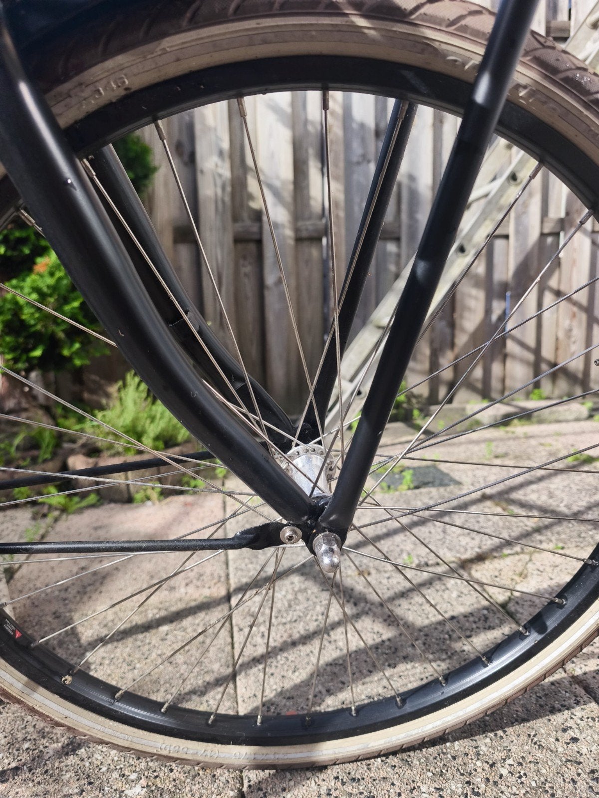 Foto 6 van Caterina Stadsfiets - Comfortabel en Stijlvol