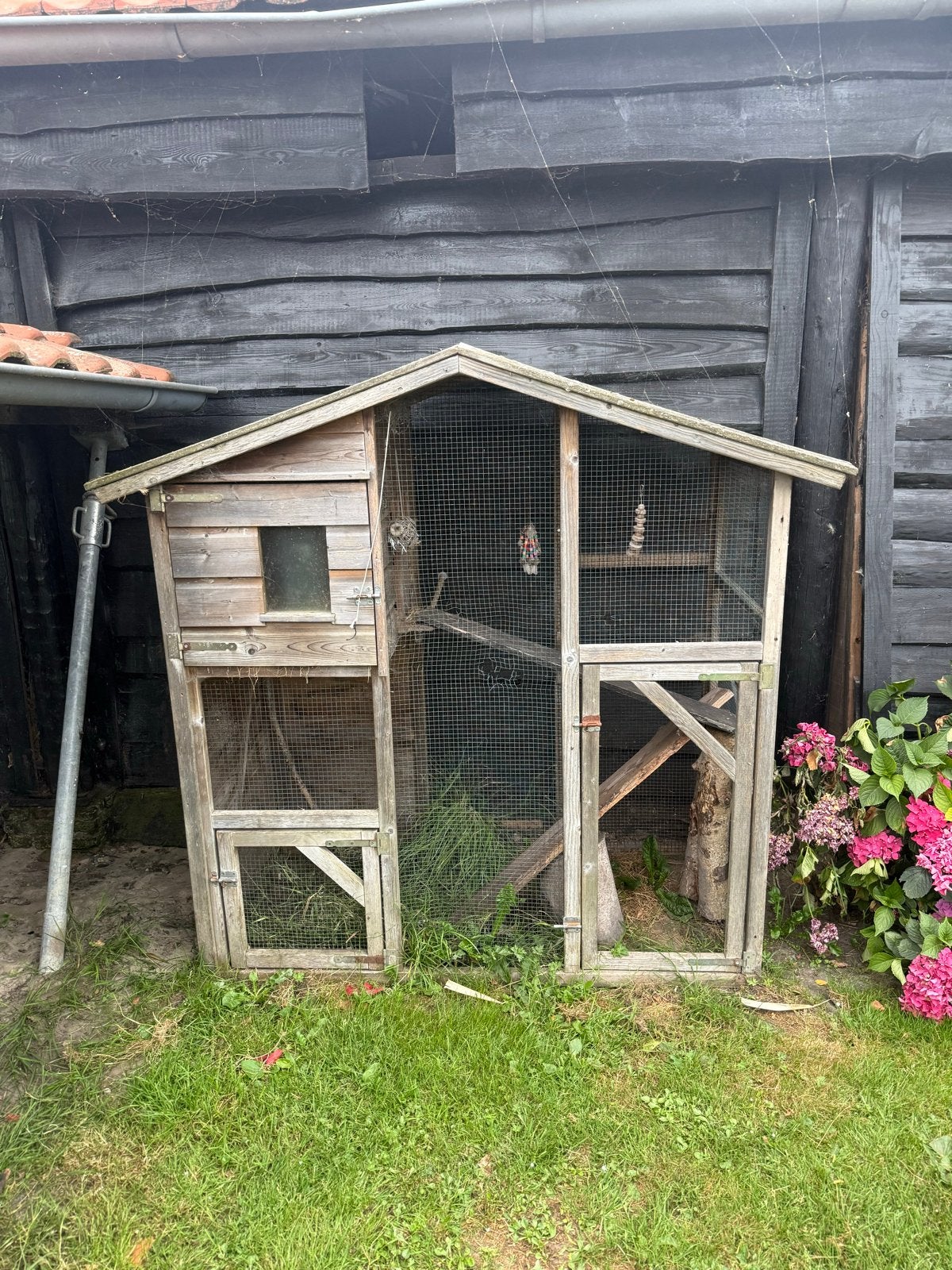 Hok, Ophalen, Zo goed als nieuw, Hout, Vogelkooi