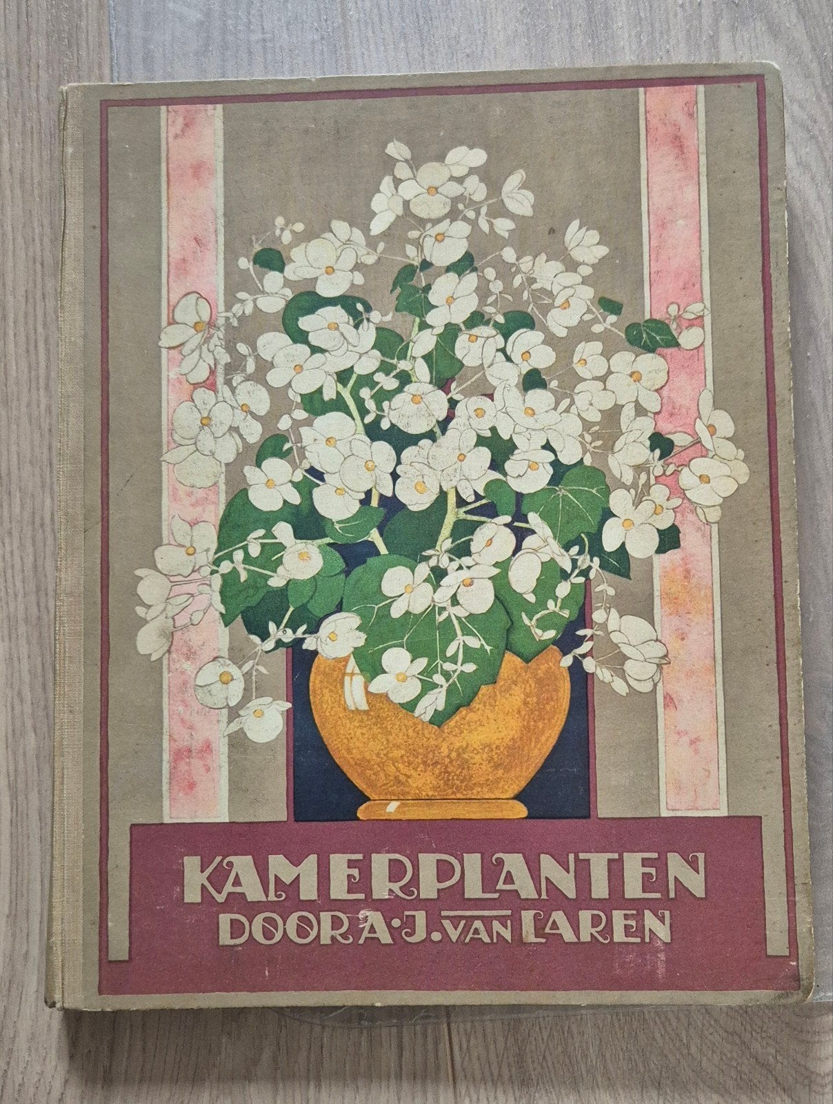 Plaatjesalbum Verkade - Kamerplanten 1928 - A.J. van Laren, Ophalen of Verzenden, Gelezen, A.J. van Laren, Plaatjesalbum