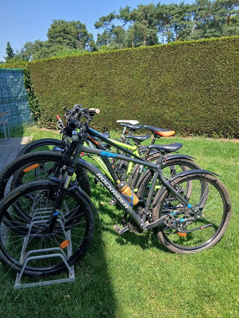 Fietsen, Fietsen en Brommers, Fietsen | Dames | Damesfietsen, 53 tot 56 cm, Ophalen, Gebruikt, Overige merken