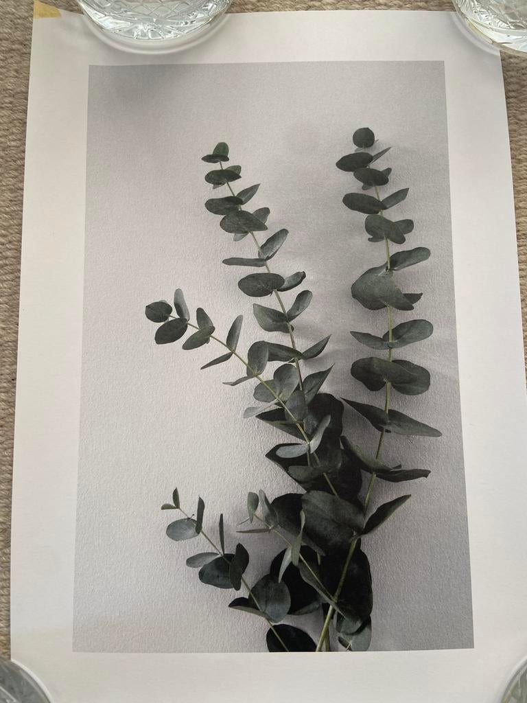 Posters en prints, Verzamelen, Posters, Rechthoekig Staand, A4 of kleiner, Ophalen of Verzenden, Zo goed als nieuw