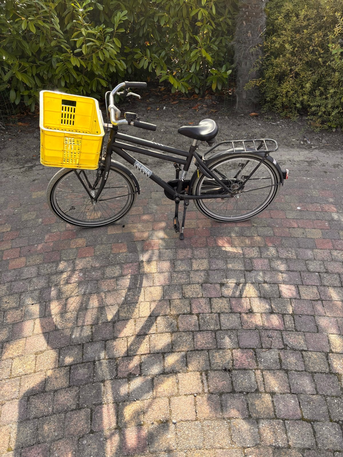 Alpina fiets met voordrager en krat, Fietsen en Brommers, Terugtraprem, Gebruikt, 50 tot 53 cm, Ophalen